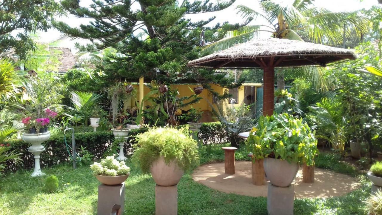 Embiente Guest House Negombo Esterno foto